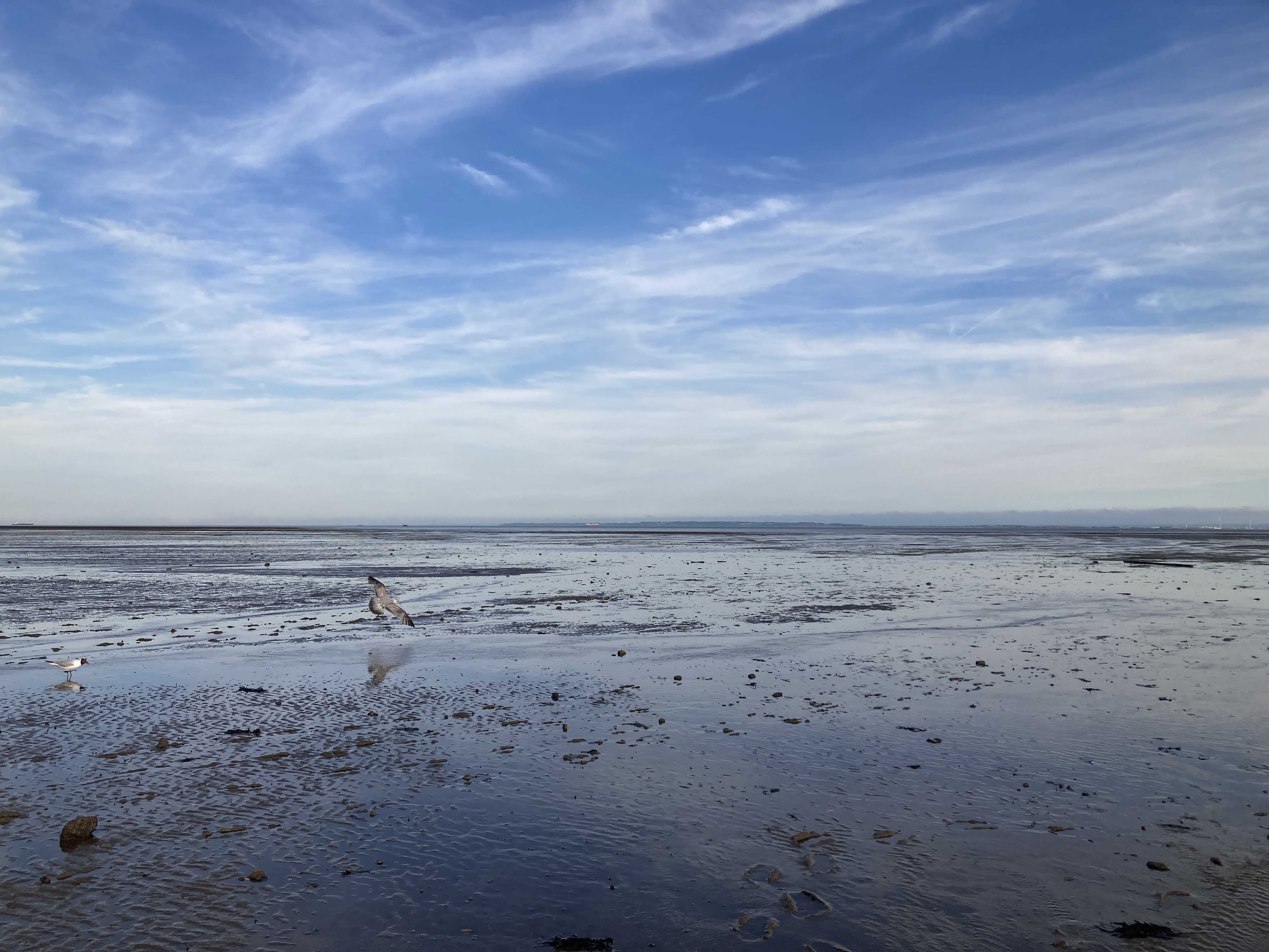 Beach View