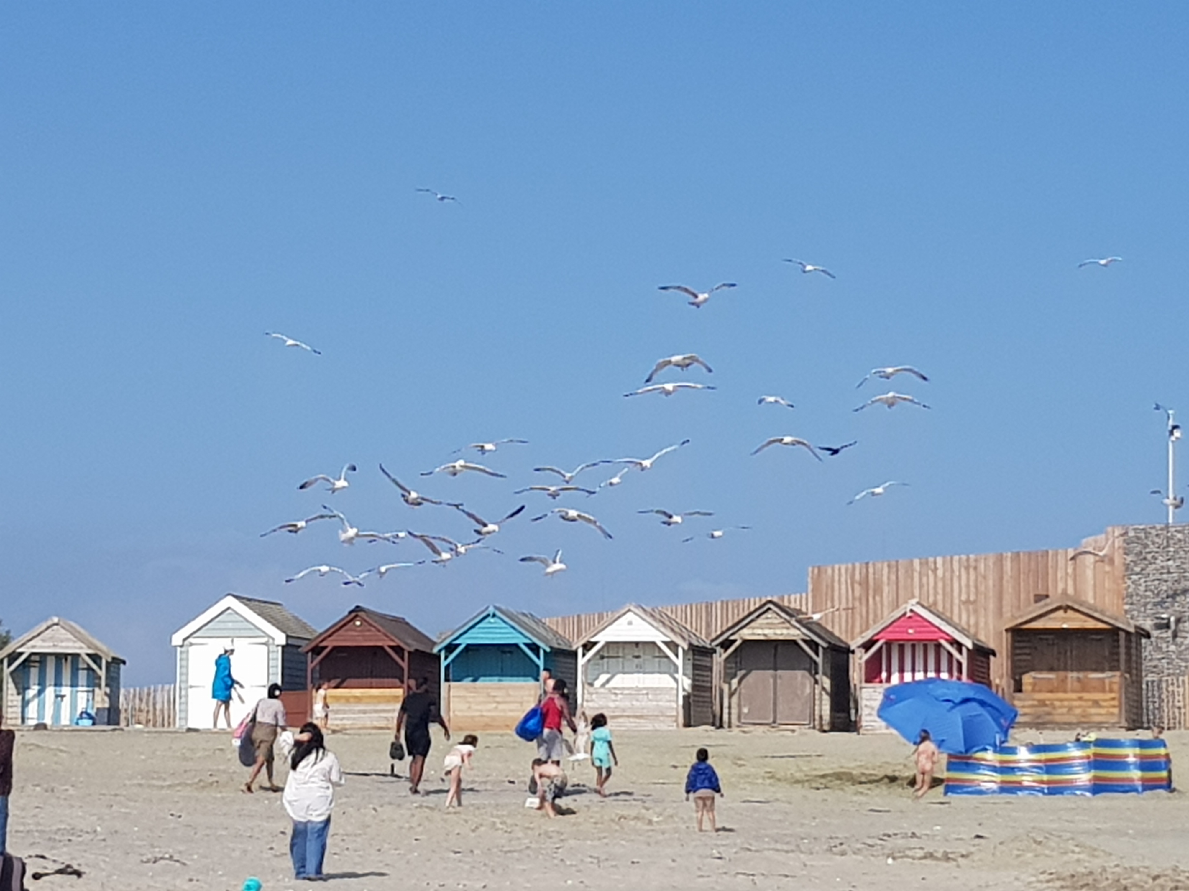 westwittering